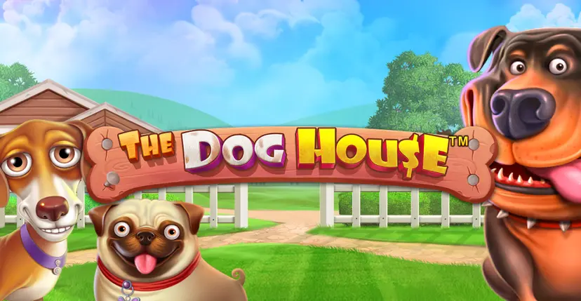 The dog house megaways is most popular slot games on mratm88